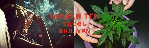 крисы Абаза