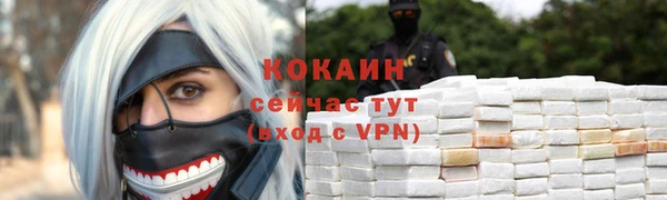 крисы Абаза
