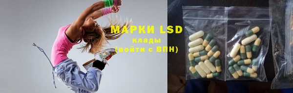 крисы Абаза