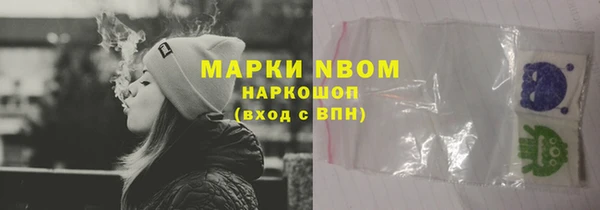 крисы Абаза