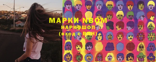 крисы Абаза