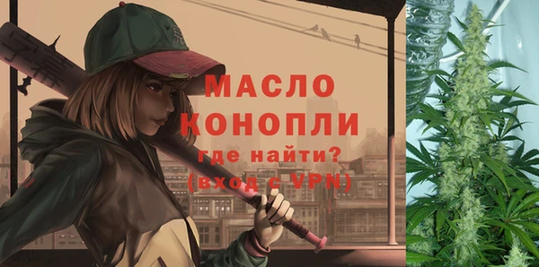 крисы Абаза