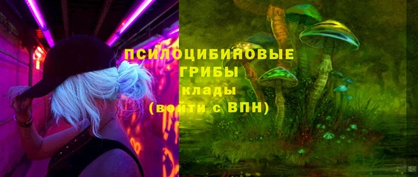 хмурый Абинск