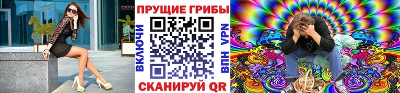 Галлюциногенные грибы Psilocybe  Алдан 